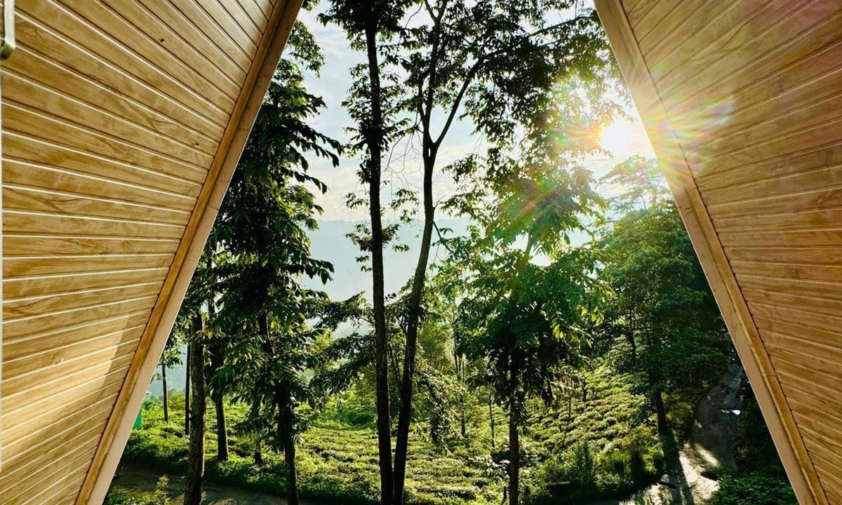 Darjeeling Cottage | The Tea Tribe Stay - Offbeat Darjeeling