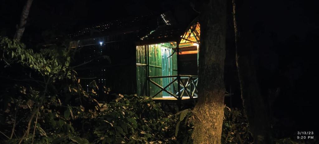 Madikeri House | The willows