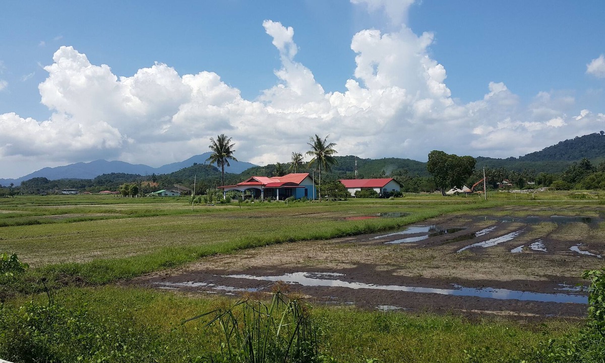 Kampung Kedawang House | Tok Bidin Homestay Langkawi