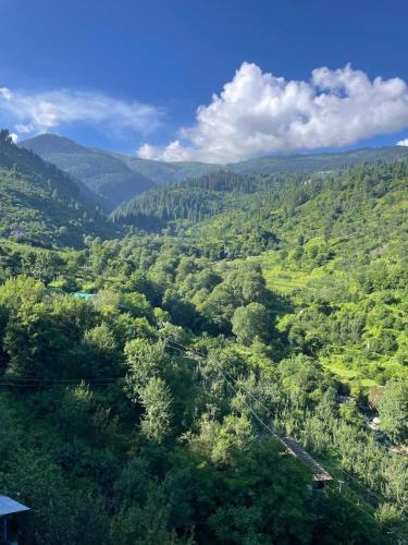 Rohru House | Trout & Pines Retreat