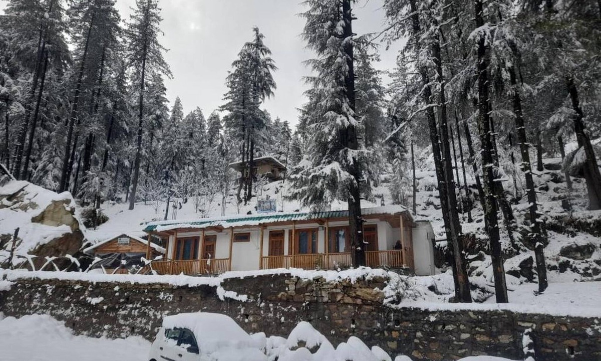 Mohal Cottage | Vansh Green View Homestay