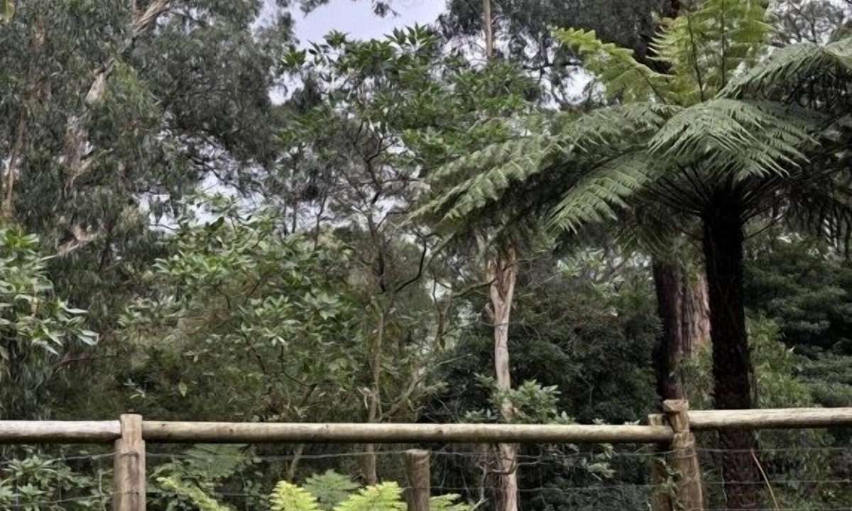 Warburton House | Warburton Hideaway | MTB and Family Friendly