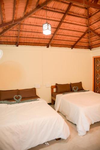 Timbholi House | Wild bison jungle stay