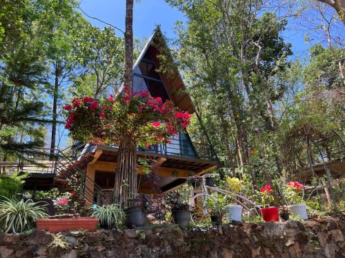 Vayittiri Ski Chalet | Wild root stay- Orchid Chalet