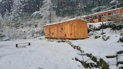 Kasol Other | Wolf Stays