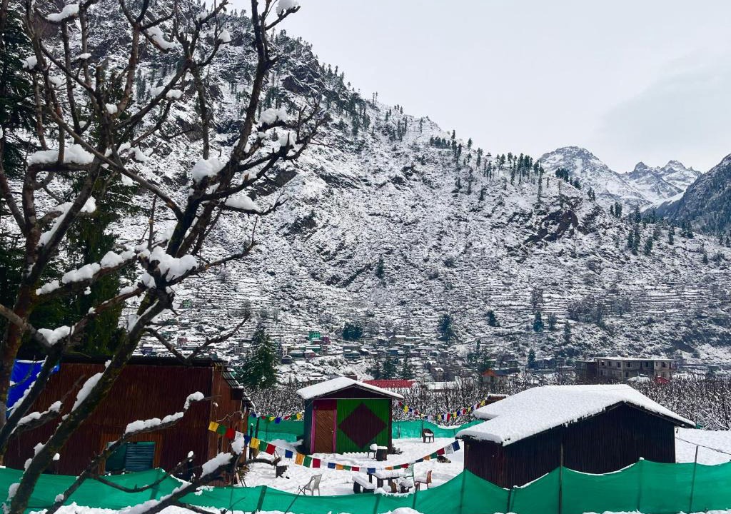 Kullu Other | Zmoksha
