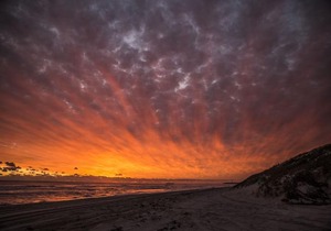 Salty Shack Lancelin in Nilgen