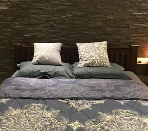Premium Furnished Kakkanad 