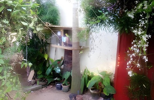 Fort Kochi Bed & Breakfast | 15 m² Bed and breakfast ∙ 2 guests