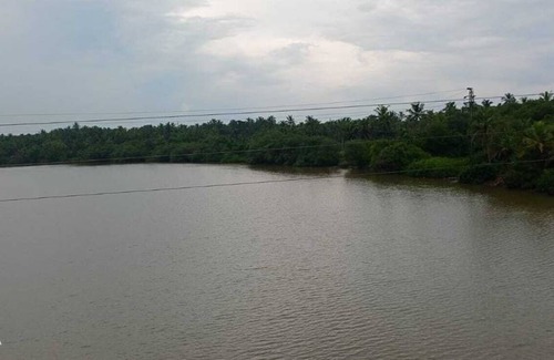 Kannur Resort | Private room ∙ 4 guests