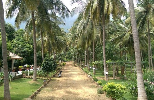 Chittur House | Room in Farmhouse - Mango Village Farm House