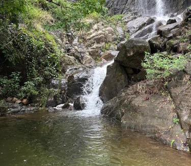 Elappara Cabin | Sunset Valley Kerala Pool Resort - Monsoon Forest Cottage Stay in Idukki with Private Waterfalls, Natural Streams & Breathtaking Views