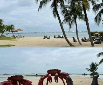 Gelang Patah Apartment | 海悦云舍