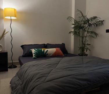 Sainik Farm Apartment | ꯍꯥꯌꯨꯝ Haayum ll