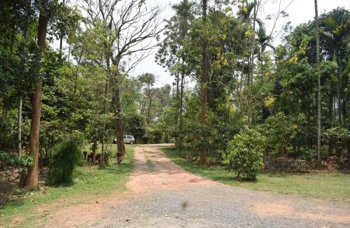 Vayittiri Hostel | 3 Hills Hostel
