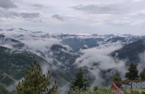 Shimla Hotel | 4BHK Villa Kufri