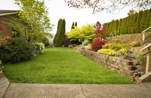 University Place House | 5BR Sweeping View Puget Sound <1 Mile to Chambers Bay U.S. Open Golf Course