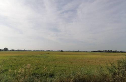 Kota Setar District House | Aaira Homestay d'Alor Setar