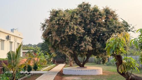 Nuzvid House | Aara Farmstay