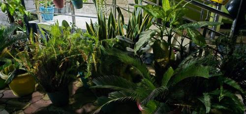 Sualkuchi House | Aashiyana Residency Home Stay