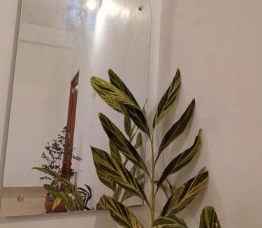 Palampur Apartment | Akása Homes - Cozy stay in Palampur