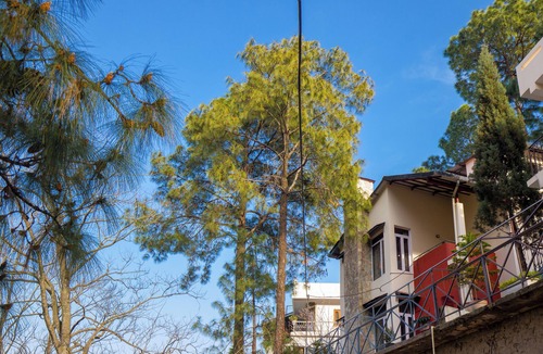 Kasauli Villa | Alaya Stays Mehar Villa 3BHK With Garden