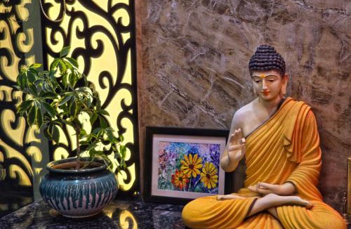 Dharamshala House | Amoda - Best Hotel in Dharamshala