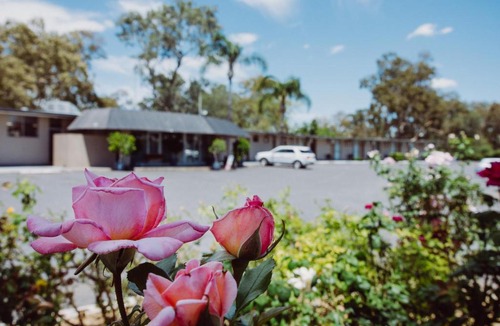 Moree Hotel | Artesian Spa Motel