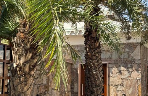 Pushkar Hotel | Arvana Resort & Spa Pushkar
