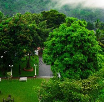 Athirapally Hotel | Athirappilly Rainland Resort