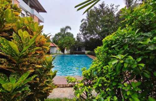 Arambol Hotel | Aurelia by Jackfruit