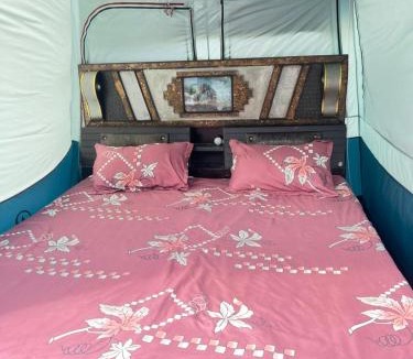 Gulmarg Other | Baaz camping site gurez