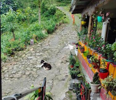 Kumai House | Bamboo Queen Homestay Rongo