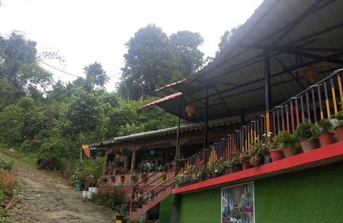 Kumai House | Bamboo Queen Homestay Rongo