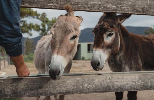 Kangaroo Valley House | Banksia Park Cottages