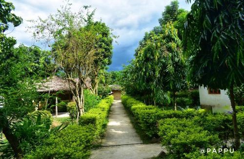 Bardia Hotel | Bardia Wild Side Hotel