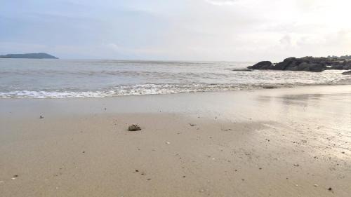 Padang Matsirat Hotel | Bayside & Beach Inn Langkawi