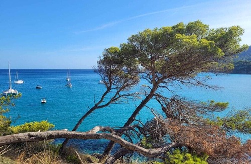 Canyamel Apartment | BEACH APARTMENT "CALA TORTA" POOL & TERRACE IN CANYAMEL