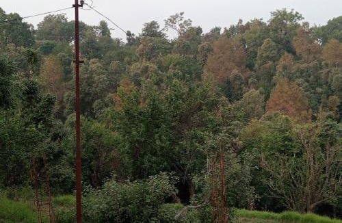 Almora House | Bhaichara DEVBHUMI homestay