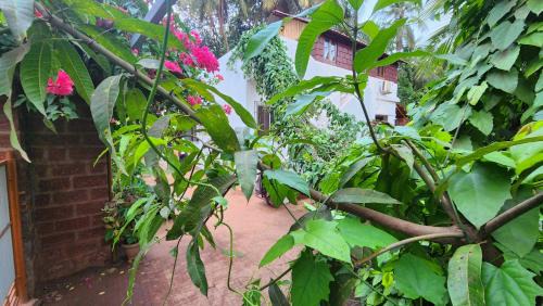Ratnagiri Resort | Bhatye Beach Resort MTDC