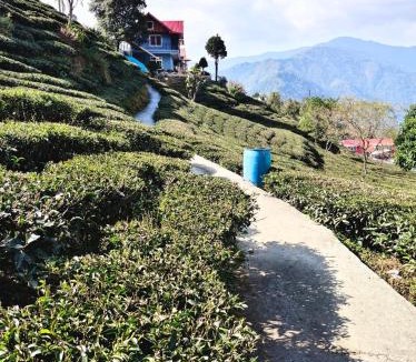 Kurseong House | Blessings Homestay