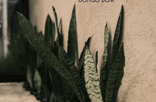 Janda Baik Villa | BLOC by The Hectar Private Pool Villa Janda Baik