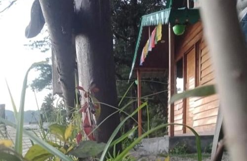 Pangot Cabin | Bluepine Cottages Pangot by Nature Nests