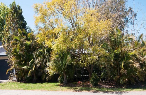Tea Gardens House | Brilliant Location - Stones throw from the Myall River