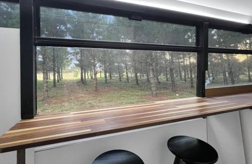 Little River Apartment | Bussie McBusFace, converted bus in Little River