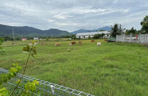 Padang Matsirat Hotel | Cabin Roomstay with Pool in Langkawi