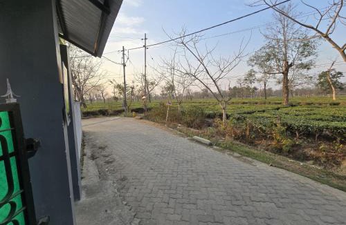 Dibrugarh House | Camellia The Bungalow