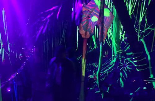 Ladang Pangoi Other | Camping Site