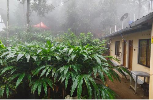 Vagamon House | CLOUD HUG'S COUPLES STAY Rooms Vagamon
