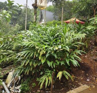 Vagamon House | CLOUD HUG'S COUPLES STAY Rooms Vagamon